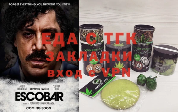 шишки Гусь-Хрустальный