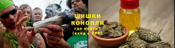 дмт Горнозаводск