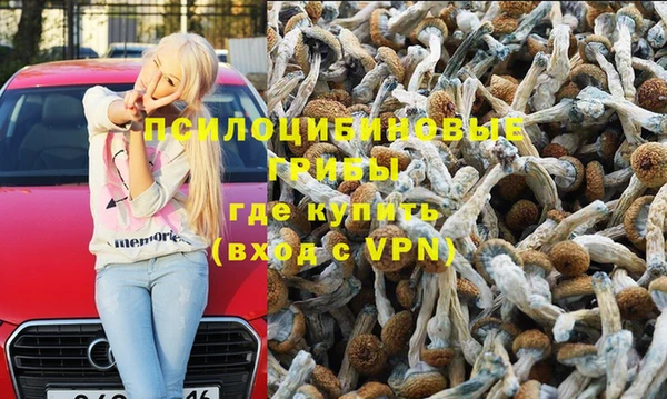 дмт Горнозаводск