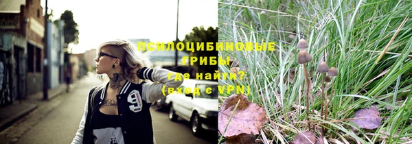 шишки Гусь-Хрустальный