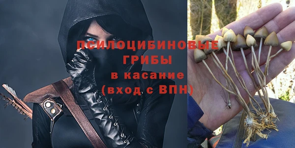 дмт Горнозаводск