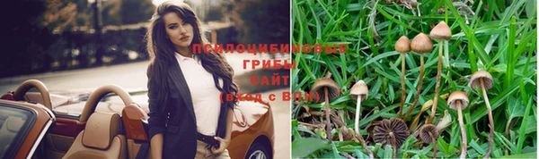 тгк Горно-Алтайск