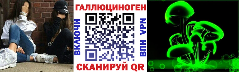 Купить где  Людиново  Псилоцибиновые грибы MAGIC MUSHROOMS 
